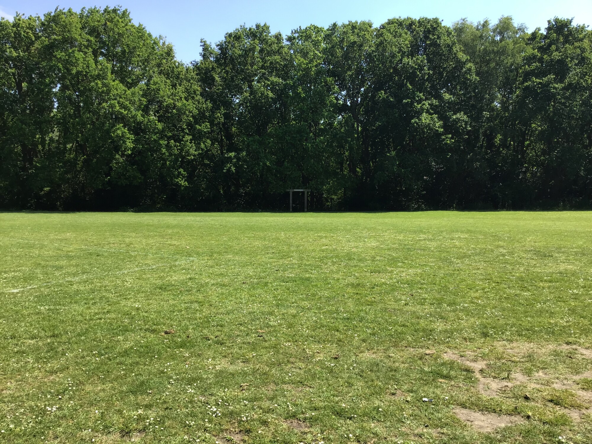 Field 2
