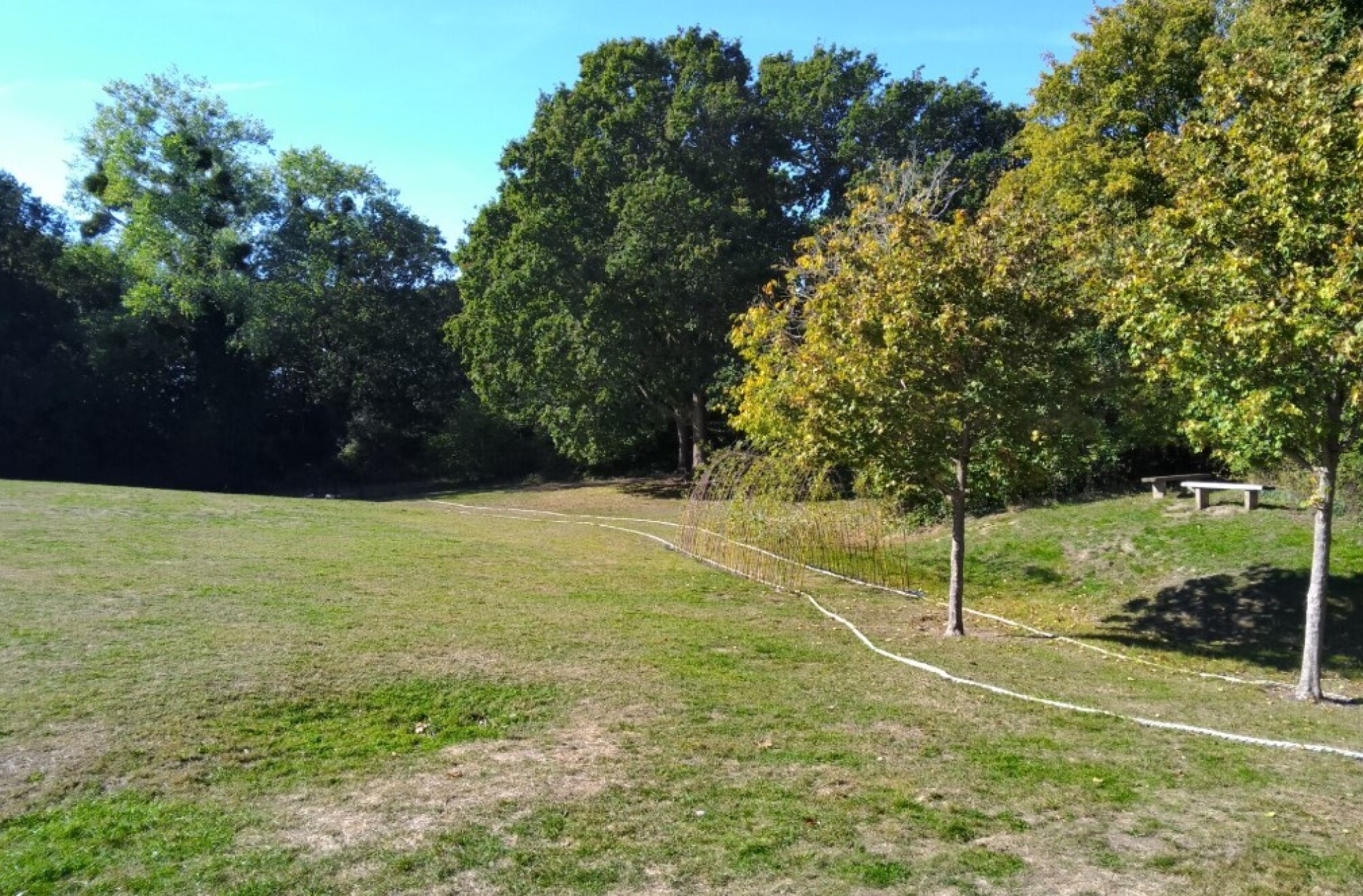 Field path